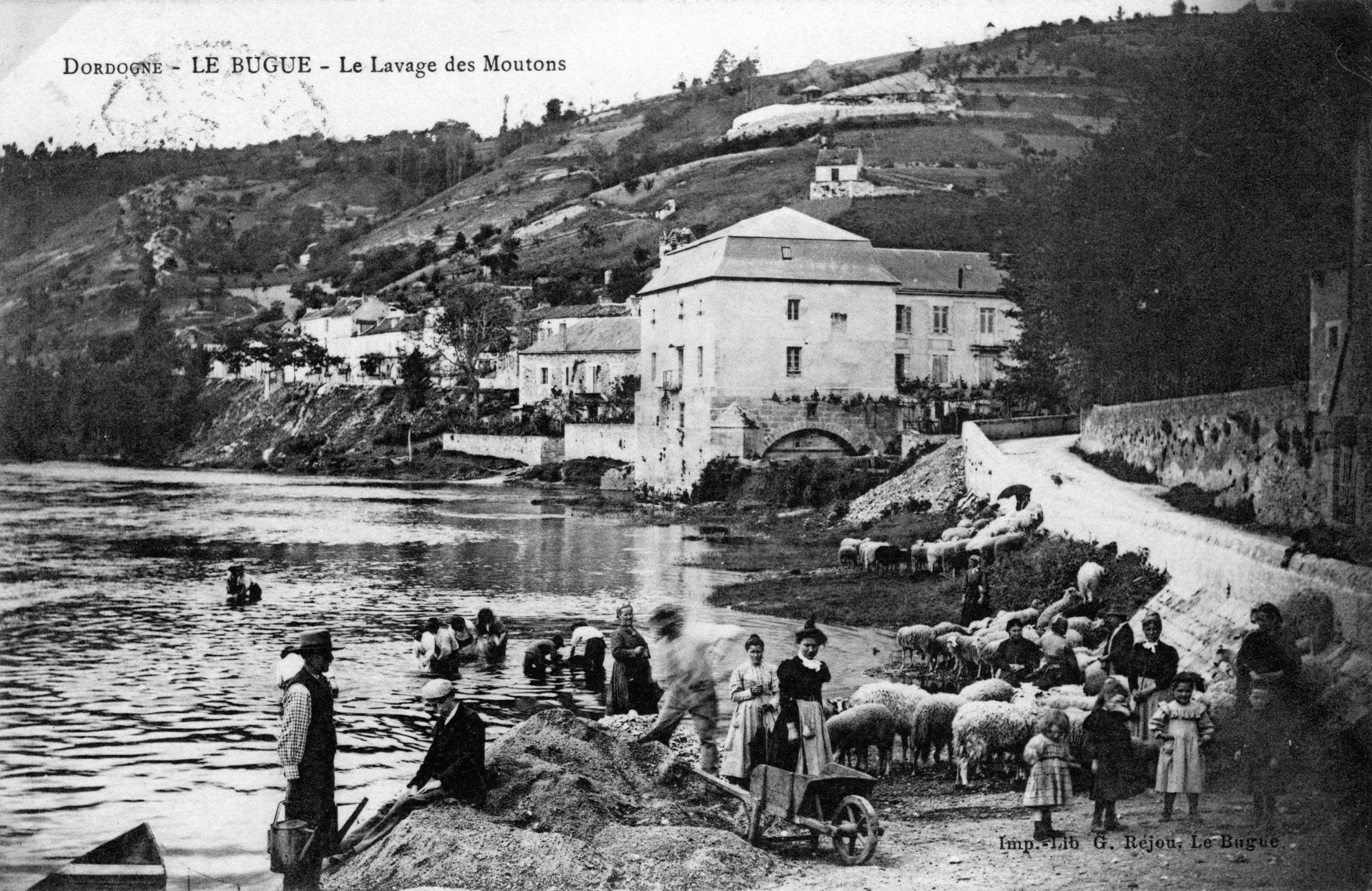 Sheep washing in Le Bugue on the banks of the Vézère