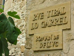 Rue Tibal Lo Garrl